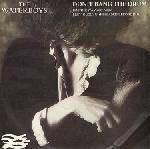 The Waterboys : Don't Bang the Drum